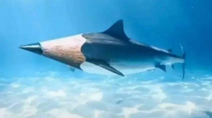 大鲨笔