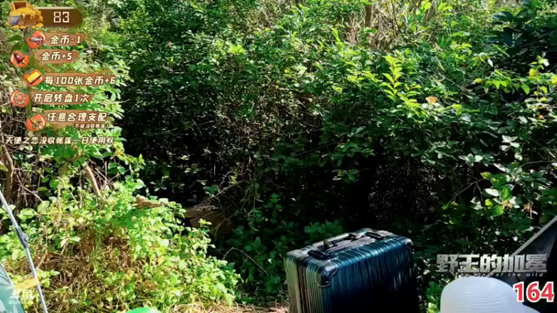 【2021-11-21 10点场】逐梦兄弟：野王的加冕Day3