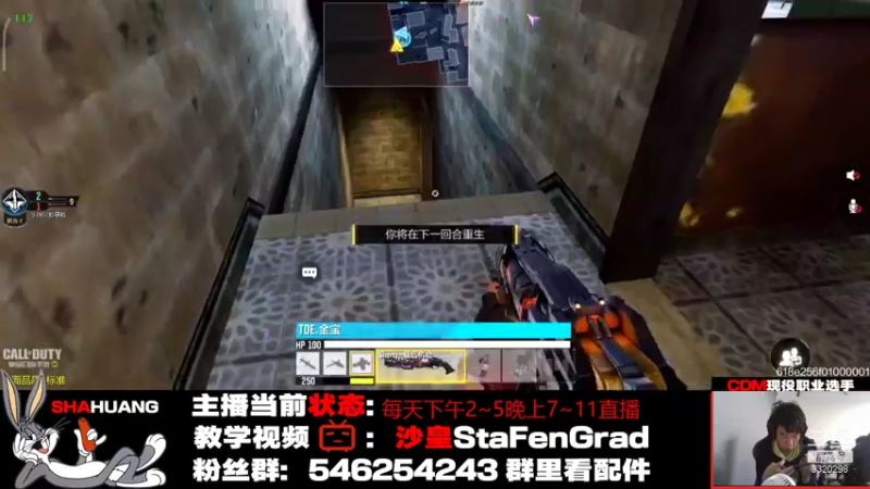 【2021-11-20 16点场】沙皇StaFenGraD：每天下午2~5晚7~11直播【训练赛】