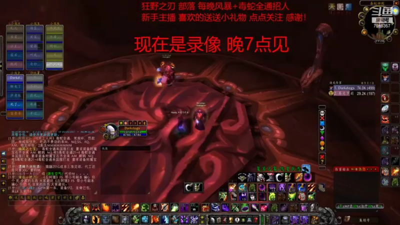 【2021-11-20 19点场】白袍wow：狂野之刃 部落  每晚全通 已出三凤凰