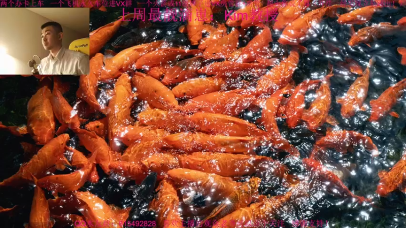 【2021-11-20 18点场】主播世贤：最强画质，极致体验
