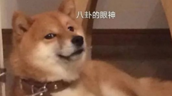 狂欢