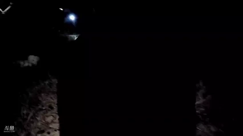 【2021-11-20 22点场】逐梦兄弟：野王的加冕Day2