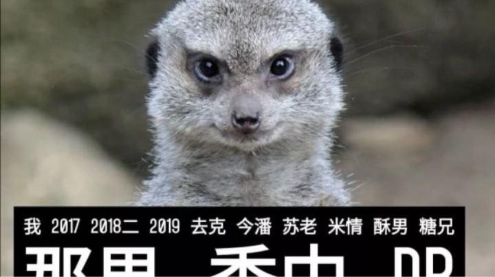 好久没玩这游戏了，金咕咕这是什么装备？这么强的吗？