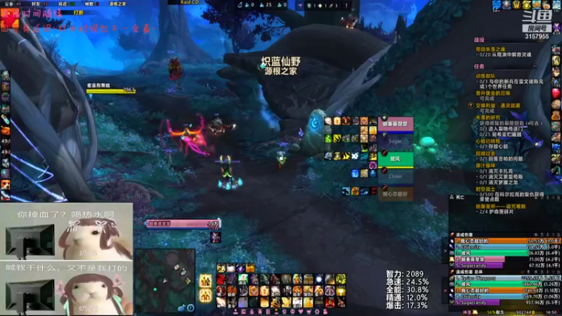 【2021-11-18 14点场】朝秦暮楚楚：DDDDDDDD 3157955