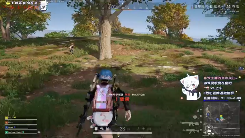 【2021-11-21 01点场】小徐813：轻语集团 千场KD6.0