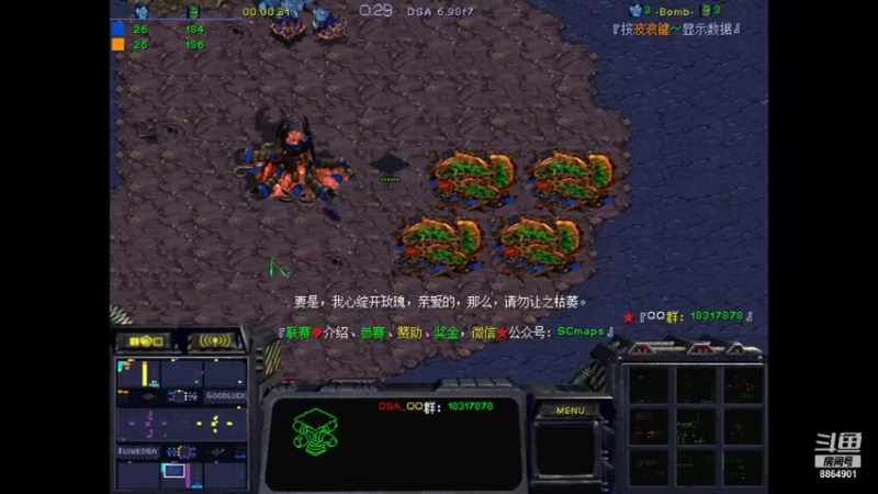 【2021-11-14 22点场】DSA译介：打快速 和50岁大哥一起