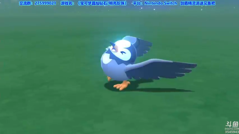 【2021-11-19 23点场】真新镇丨皮皮智：宝可梦明亮珍珠/晶灿钻石。剑盾精灵派送