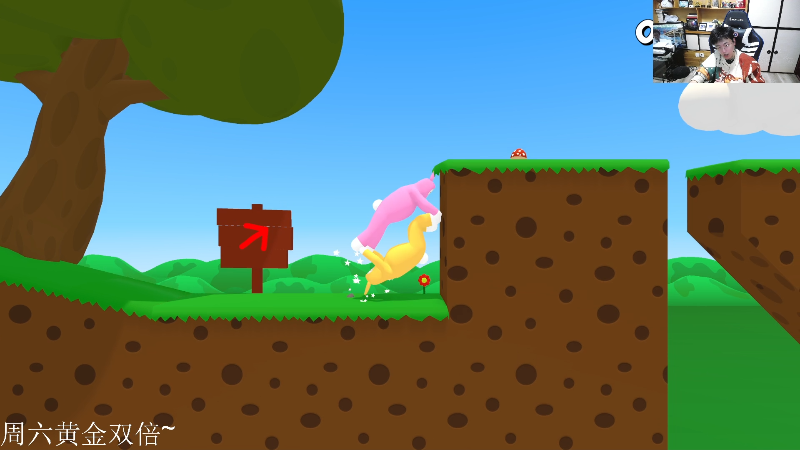 我在斗鱼看DL丶拖米直播王者荣耀