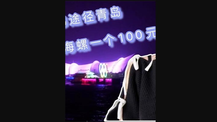 情探CFS2021