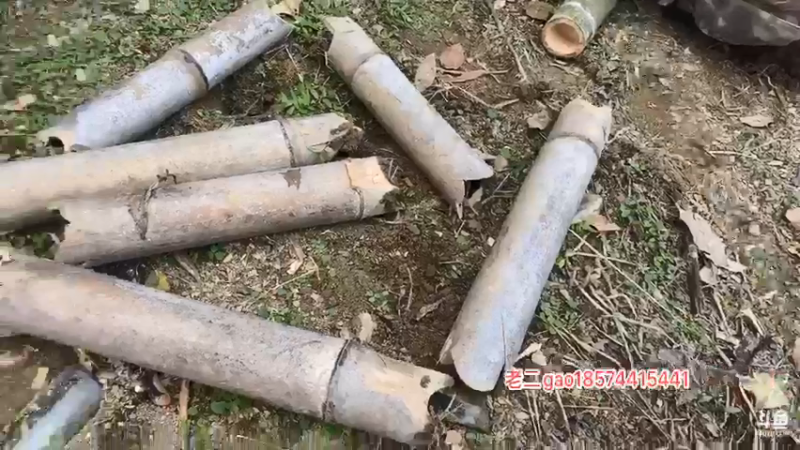 【2021-11-22 14点场】魅力生活i：户外竹筒饭叫花鸡