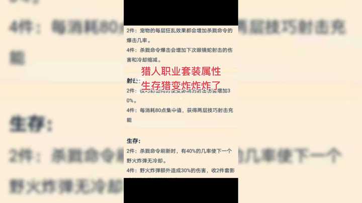 魔兽冰铃-猎人职业套装出来了。生存猎就是炸炸炸