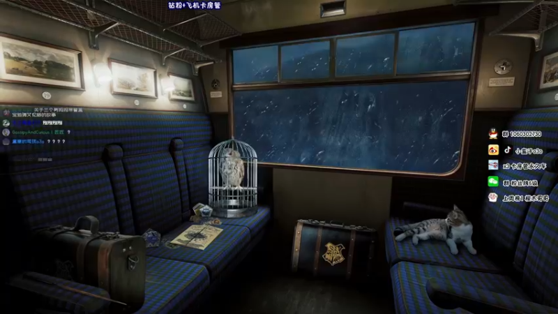 【2021-11-21 23点场】小盒子u：小盒子：FPP军训