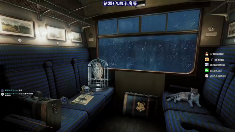 【2021-11-21 11点场】小盒子u：从小就不爱哭鼻子|OBpubg世界赛