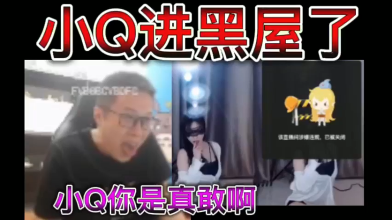 猫哥，小Q进黑屋了！小Q你是真敢啊~
