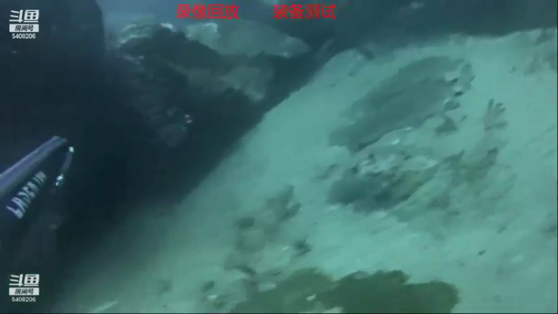 【2021-11-22 19点场】海道丶：海底实时直播