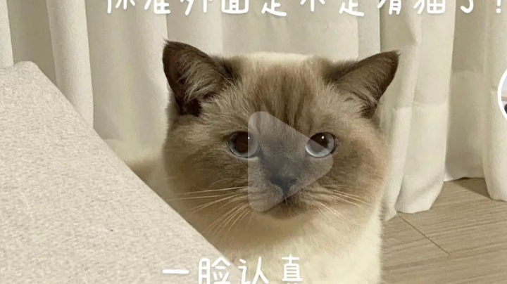 。直播回看