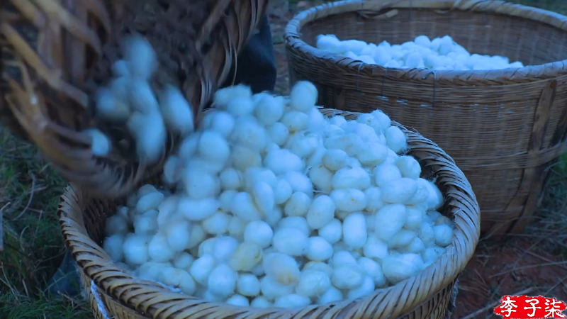 【美食】李子柒liziqi的精彩时刻 20211122 21点场