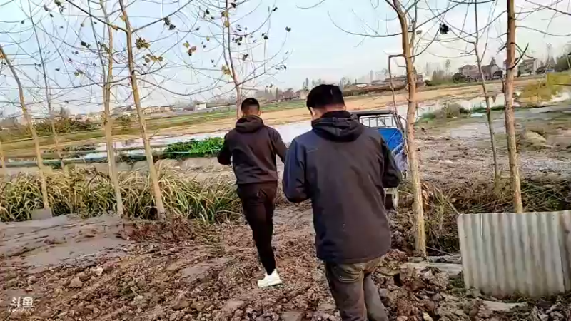 【2021-11-22 16点场】洪湖小肖：古法麦芽糖制作