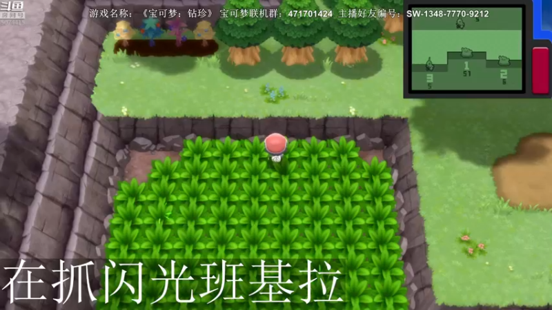 【2021-11-22 02点场】半支烟：【半支烟】宝可梦开始抓闪