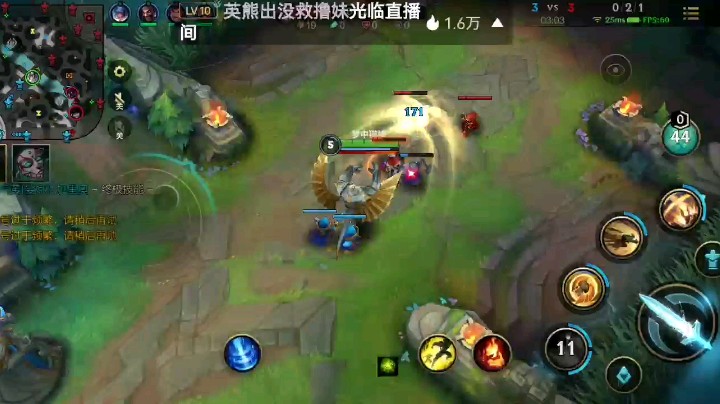 加里奥