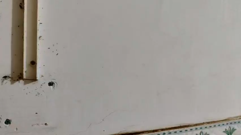 【2021-11-22 19点场】海道丶：海道丶天然美食，深度了解一下！