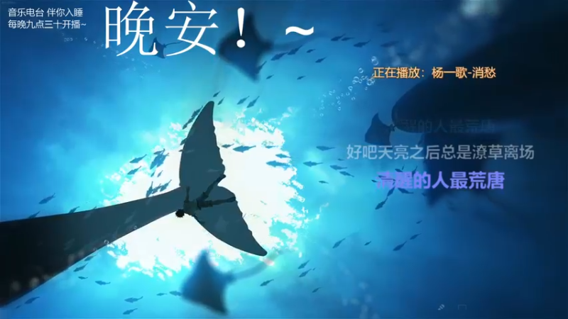 【2021-11-22 03点场】杨一歌：杨一歌：周一休息周二七点11258