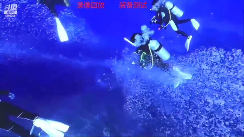 【2021-11-22 17点场】海道丶：海底实时直播