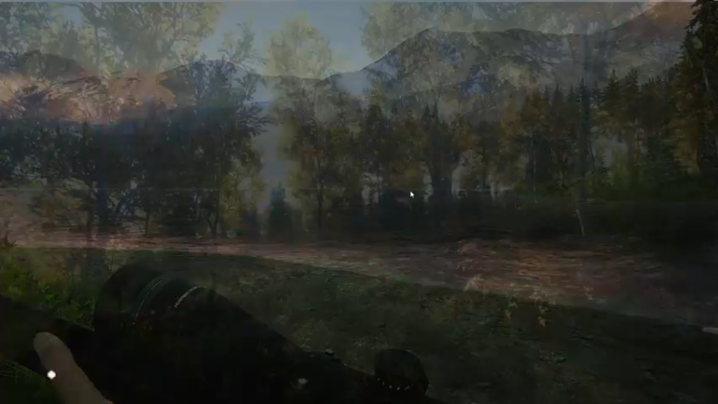 【2021-11-21 22点场】河豚Eric：制作成标本！