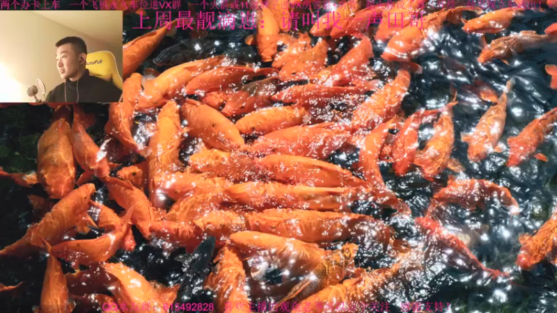 【2021-11-23 11点场】主播世贤：最强画质，极致体验