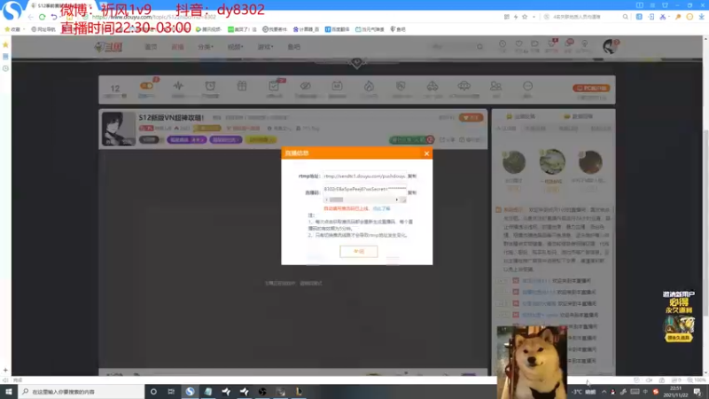【2021-11-22 22点场】祈风1v9：S12新版VN超神攻略！