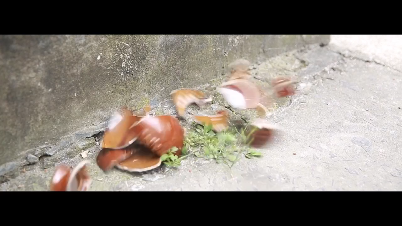 【美食】野食小哥的精彩时刻 20211123 10点场