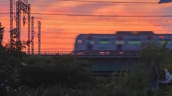 直播日常