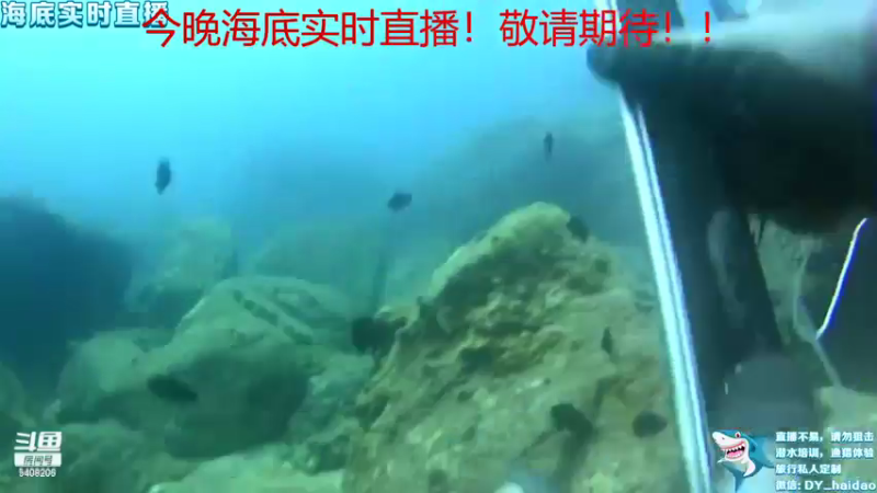 【2021-11-23 18点场】海道丶：海道海底直播