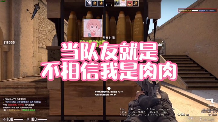 【肉肉】当队友就是不相信我是肉肉