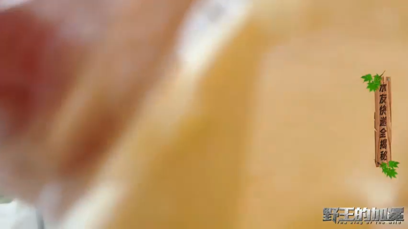 【2021-11-23 12点场】逐梦兄弟：野王的加冕Day4