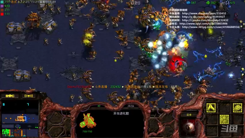 【2021-11-21 07点场】星际DSA联赛：天使風暴™️ 專業版
