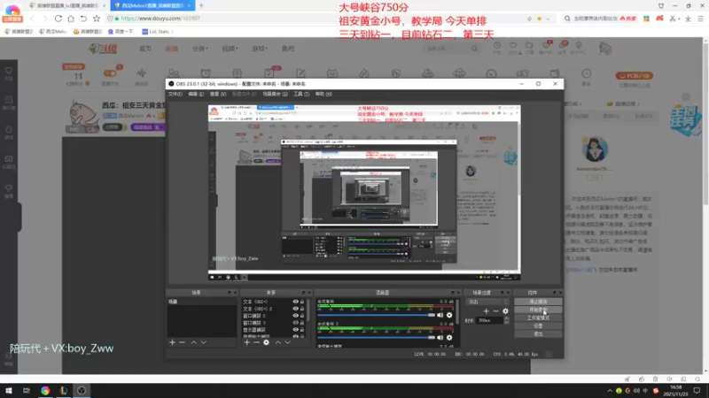 【2021-11-23 16点场】西瓜Melon1：西瓜：祖安三天黄金到钻一 场均20杀教学