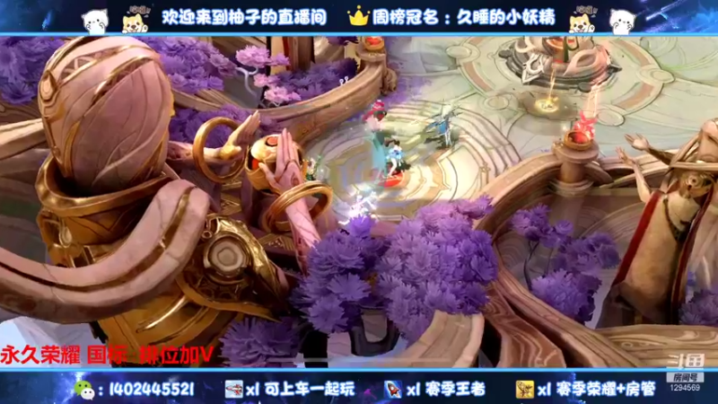 【2021-11-22 22点场】毕竟是柚子：在榜国服阿珂微信带粉上荣耀