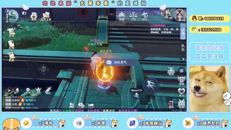 【2021-11-24 18点场】大黄本黄：从零第五天~心情很差