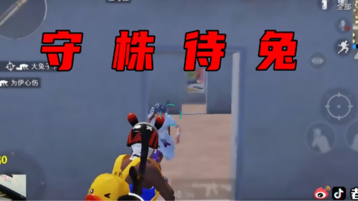 【老大贤】守 株 待 兔