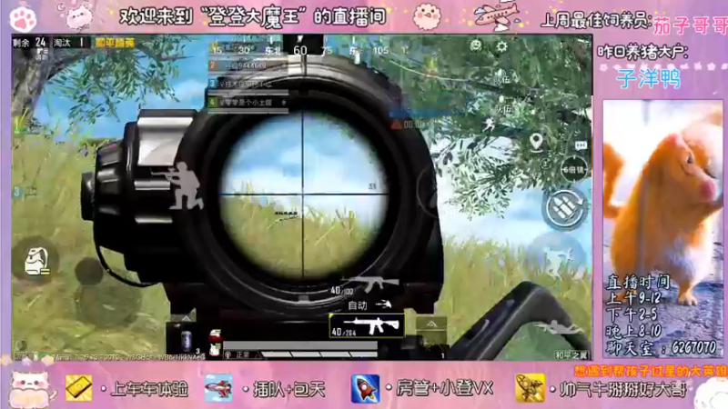 【2021-11-23 22点场】登登大魔王吖：笨拙且努力，还差一点运气