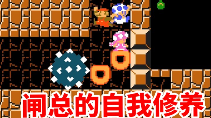【白胖打工记】224 期 - 闸总的自我修养《马里奥制造2》