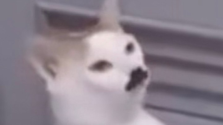 干就完了呗