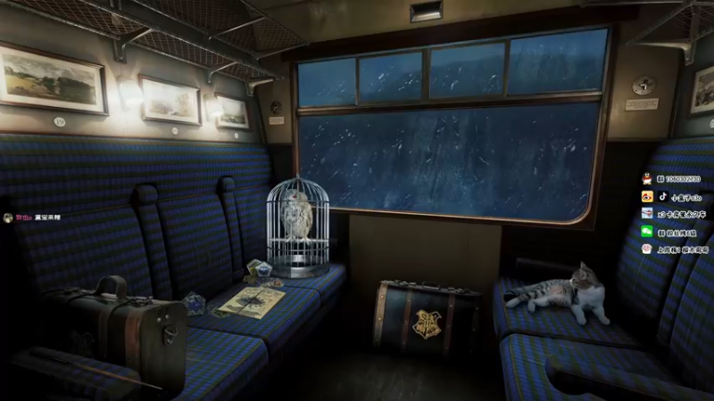 【2021-11-23 16点场】小盒子u：小盒子：美女