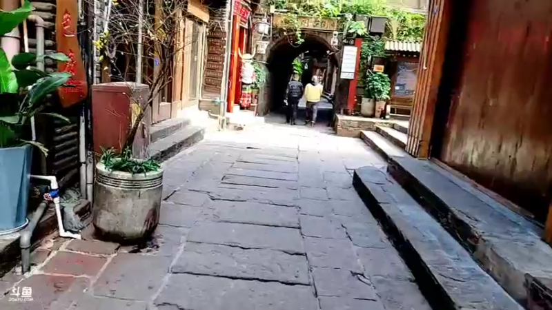 【2021-11-24 12点场】洪湖小肖：湘西 · 帅帅哥/鱼总生日快乐