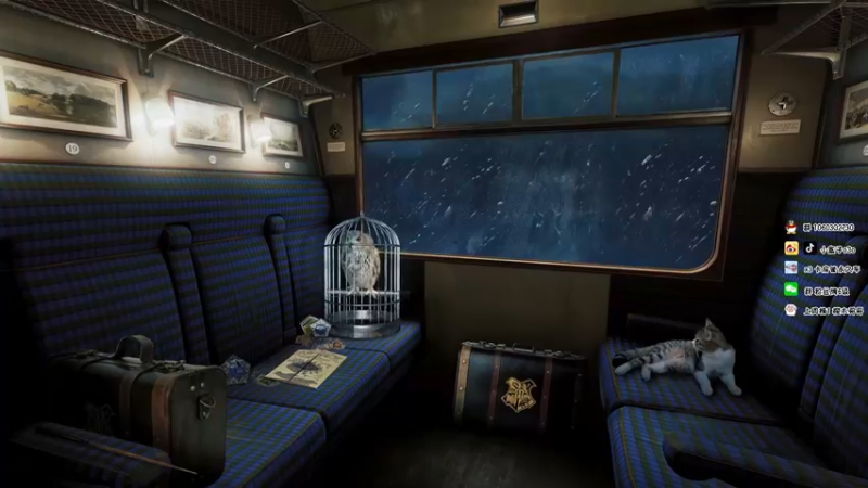 【2021-11-24 17点场】小盒子u：小盒子：一朵带刺的傻帽~