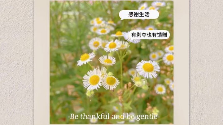 月容