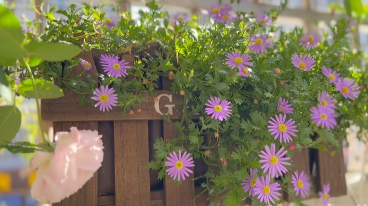 愿接下来的时光，悠长，美好。