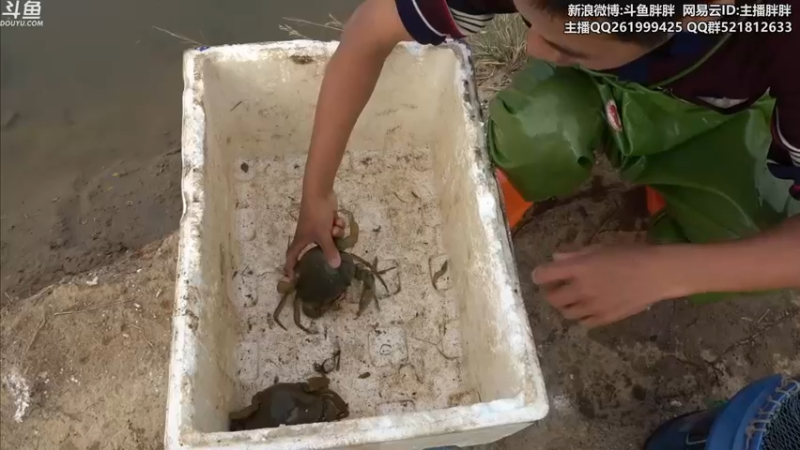 【2021-11-25 04点场】胖胖灬：胖胖OB：转会期EDG\RNG\TES